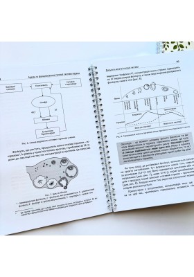 Вчимося розпізнавати плідність. Посібник для користувачів симпто-термального методу  (3 видання)